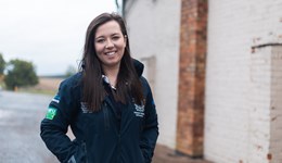 Applications open for Pig Industry Scholarship programme